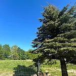 Hébergement de vacances Biala Czapla *
