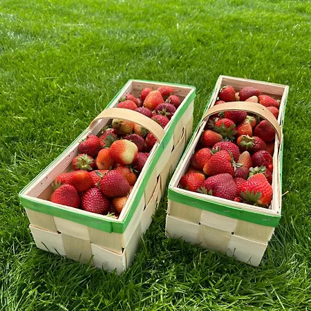 Biala Czapla Tatil Evi *