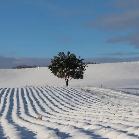 Biala Czapla Casa vacanze Borzestowska Huta