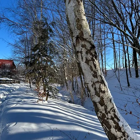 Semesterbostad Biala Czapla Borzestowska Huta