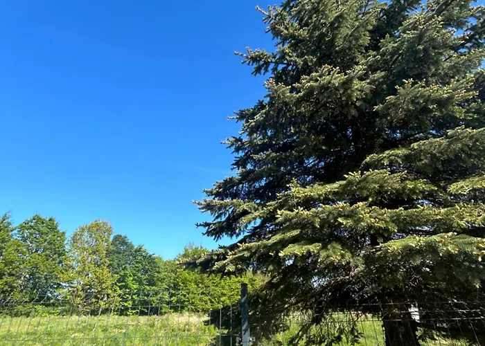 Tatil Evi Biala Czapla *