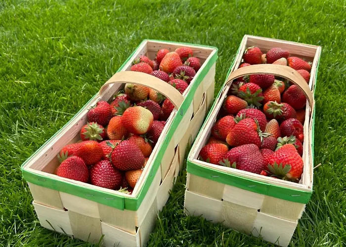 Biala Czapla Semesterbostad *