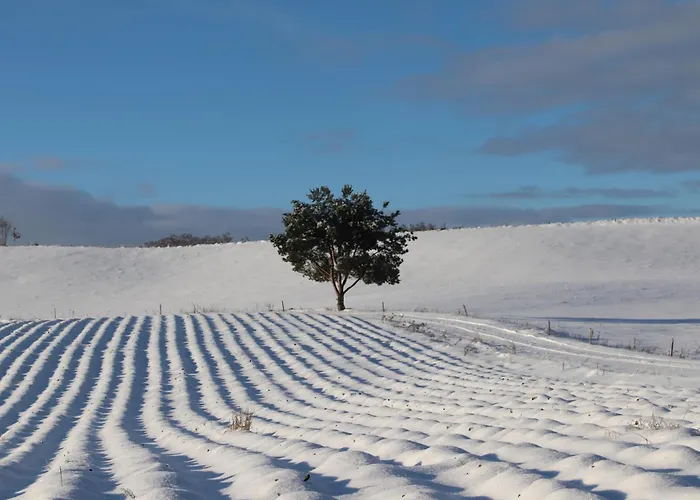 Biala Czapla Semesterbostad Borzestowska Huta