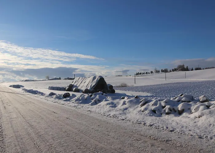 Biala Czapla * Borzestowska Huta