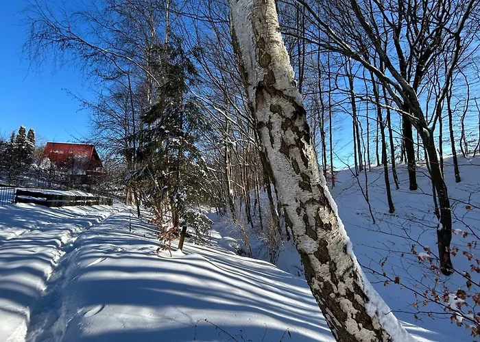 Tatil Evi Biala Czapla Borzestowska Huta